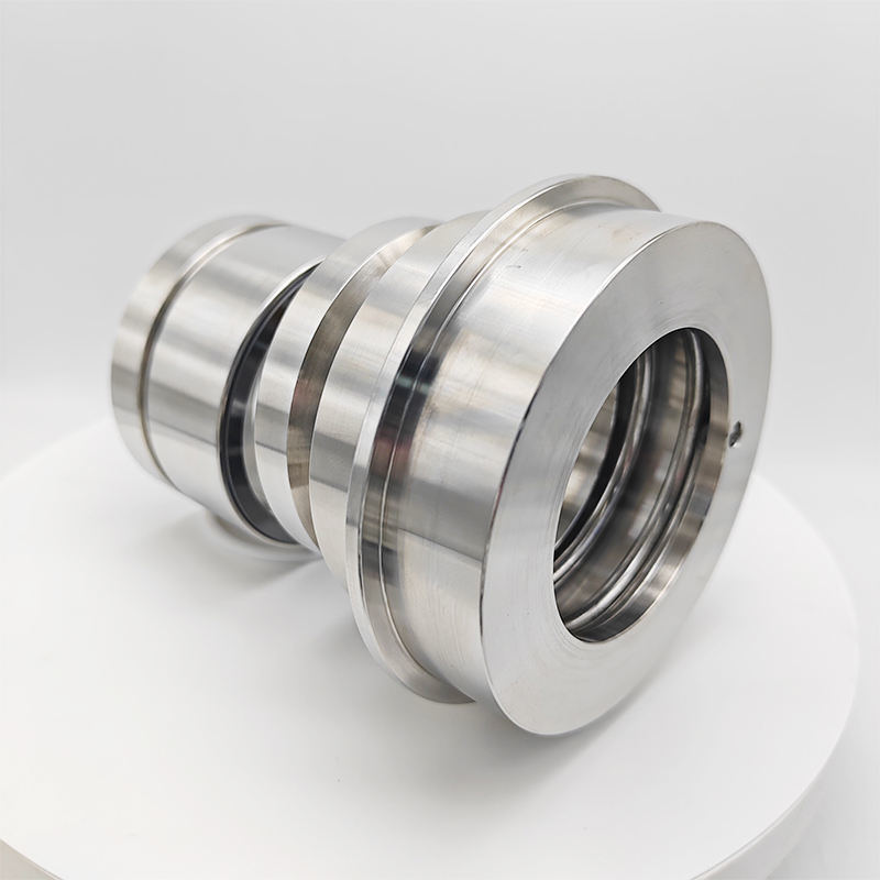 Mechanical Seal TB1, TB1F & TB2 for Sulzer Process Pumps for Mixer SIC/SIC/PTFE/304