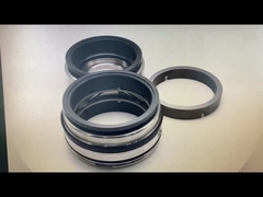 Fristam Seal GLRD FDS2 BCH-045 SIC-SIC-HNBR/C-TC-HNBR Voor Fristam Fds Dubbele schroefpomp