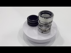 O-ring Mechanische parallelle veerdichtheid Type 250 Dichtingen Stalen Mechanische Dichtheid