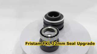Zie waarom u kiest voor SIC SIC FKM mechanische afdichting 22 mm geschikt voor Fristam FKL-pomp